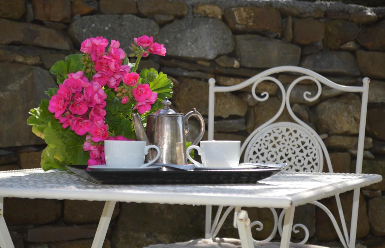 Agriturismo Dalla Mimmi Dolceacqua Ngoại thất bức ảnh
